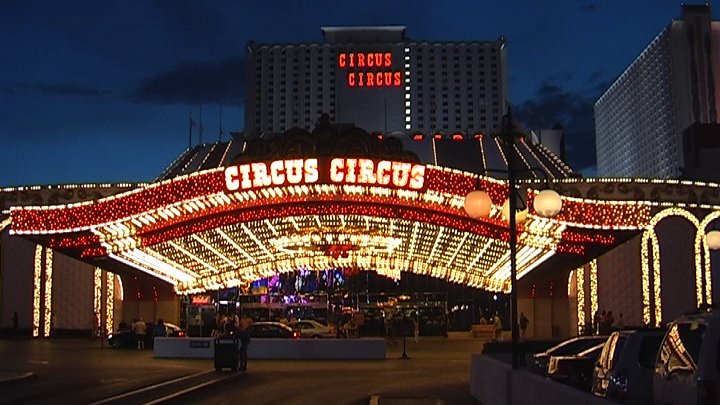 Cicus Circus