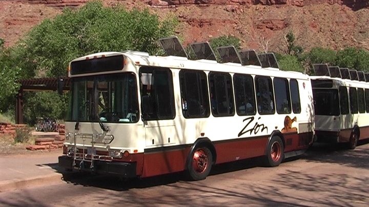 Zion busses